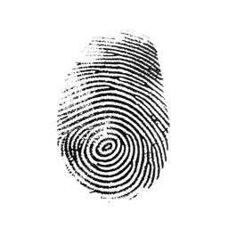 Finger